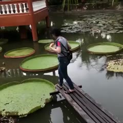 Physical