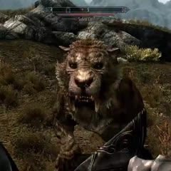 Weird Flying Sabertooth Tiger SKYRIM